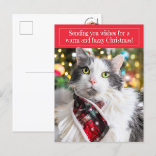 Frohe Weihnachten Niedliche Katze im Holiday Scarf