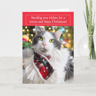 Frohe Weihnachten Niedliche Katze im Holiday Scarf
