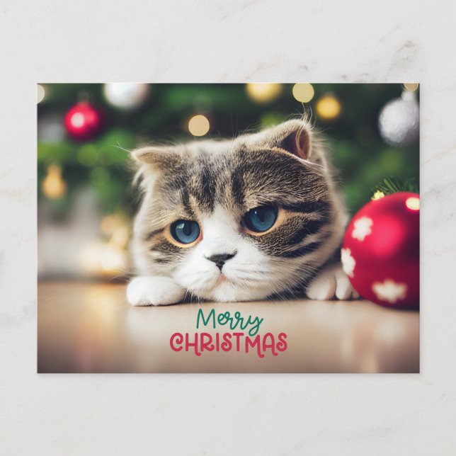 Frohe Weihnachten Niedliche Katze mit blauen Augen (Vorderseite)