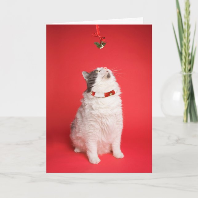 Frohe Weihnachten Niedliche Kitty unter Mistletoe (Vorderseite)