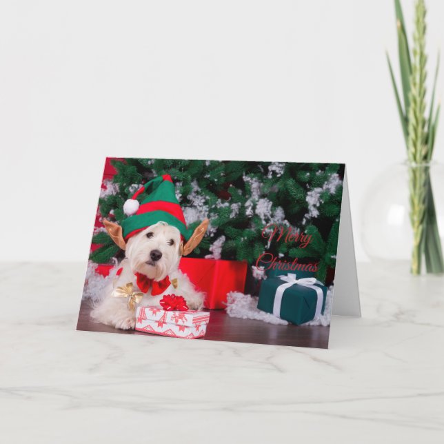 Frohe Weihnachten Niedliche Welpe in Elf Kostüm Karte (Vorderseite)