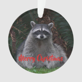 Frohe Weihnachten Niedlichen Wald Raccoon Ornament