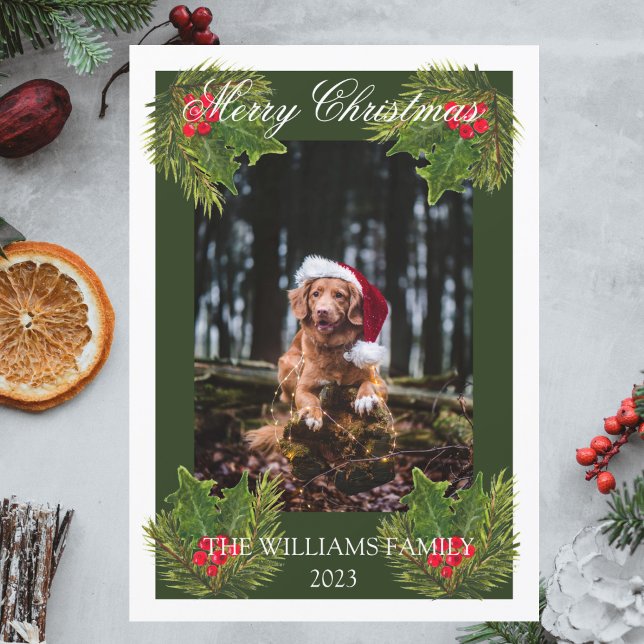 Frohe Weihnachten Niedlicher Hund Haustier Foto Wa (Von Creator hochgeladen)