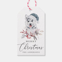 Frohe Weihnachten. Niedlicher Husthund mit Wasserf