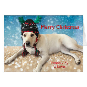 Frohe Weihnachten Niedlicher Labrador Hund Labrado