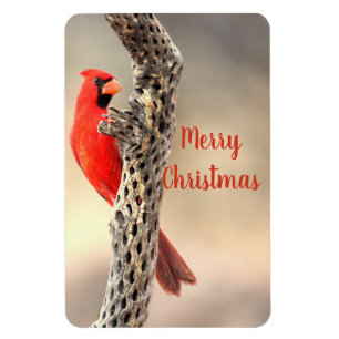 Frohe Weihnachten Nordischer Kardinal Magnet