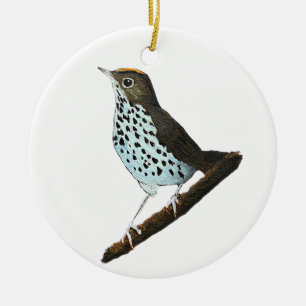 Frohe Weihnachten ~Ovenbird~ Keramik Ornament