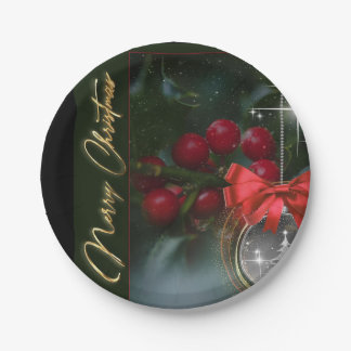 Frohe Weihnachten Papier Teller