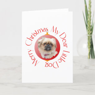 Frohe Weihnachten Pekinese