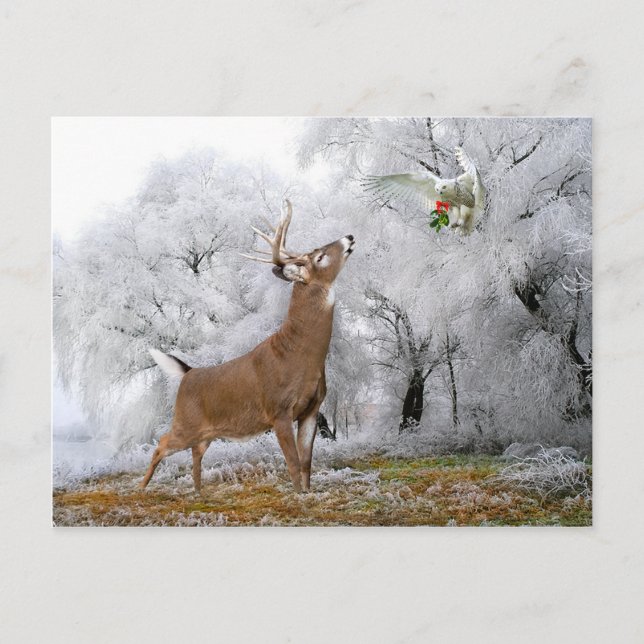 "Frohe Weihnachten" Postkarte (Vorderseite)