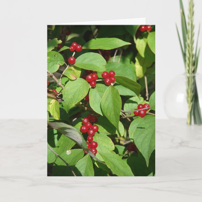 Frohe Weihnachten Red Berries (Vorderseite)