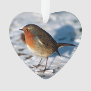 Frohe Weihnachten Robin im Schnee Ornament