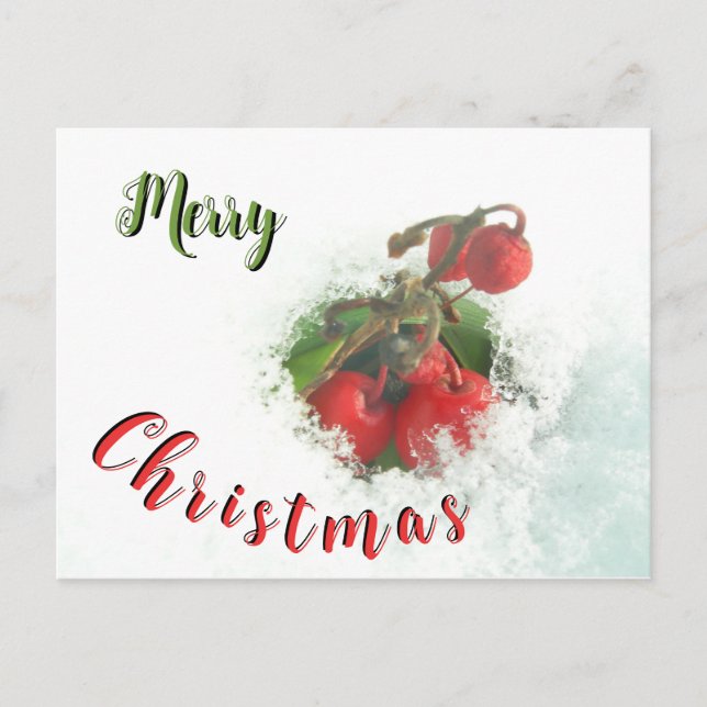 Frohe Weihnachten Rote Berries aus der Schneekarte Postkarte (Vorderseite)
