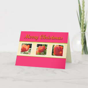 Frohe Weihnachten  rote Blumen Grußkarte.