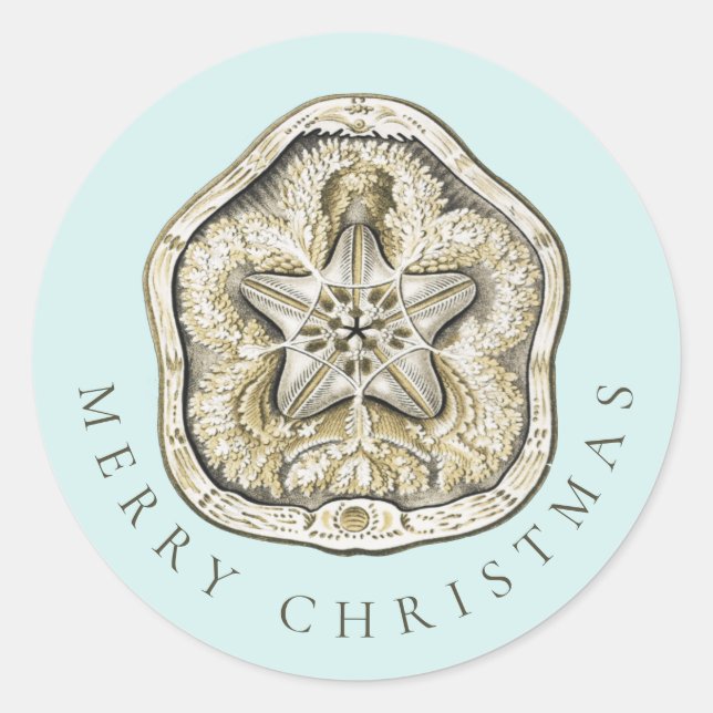 Frohe Weihnachten Sand Dollar Türkis Küste Runder Aufkleber (Vorderseite)