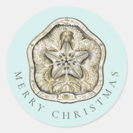 Frohe Weihnachten Sand Dollar Türkis Küste Runder Aufkleber