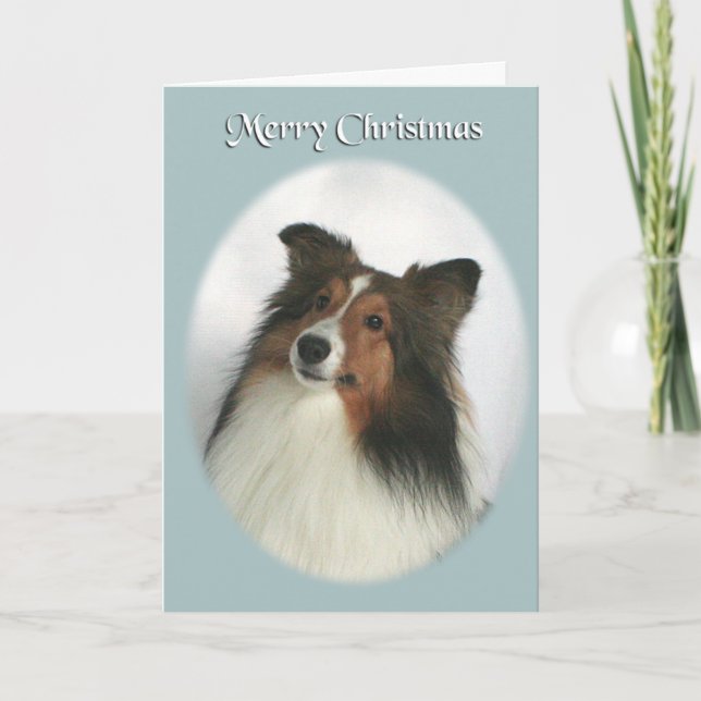 Frohe Weihnachten Sheltie (Vorderseite)