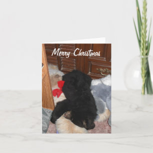 Frohe Weihnachten - Shenandoah hell