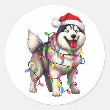 Frohe Weihnachten Sibirischer Husky mit Weihnachts
