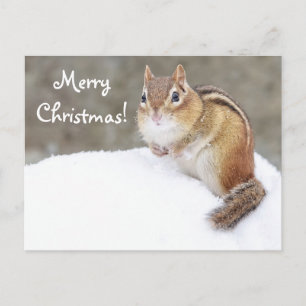 Frohe Weihnachten Snowy Chipmunk