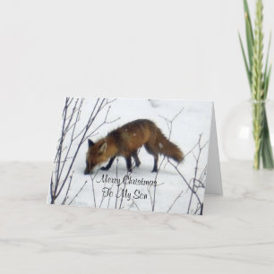 Frohe Weihnachten Son-Fox in Snow