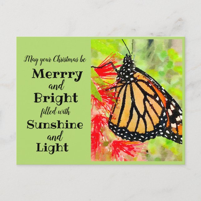 Frohe Weihnachten Sonnenschein Monarch Butterfly Postkarte (Vorderseite)
