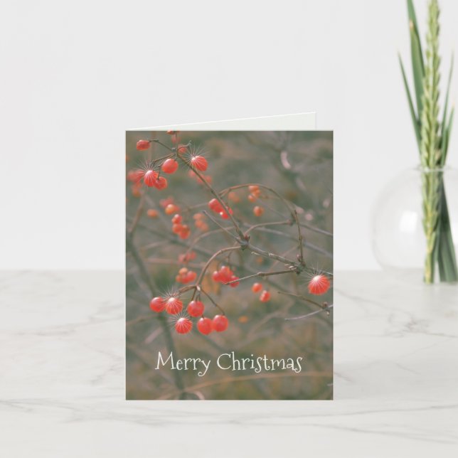Frohe Weihnachten Sparkling Red Berries Nature Fot (Vorderseite)
