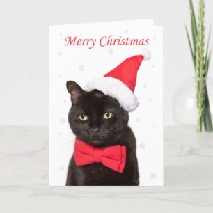 Frohe Weihnachten Süße Katze in Santa Hut und Flie