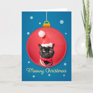 Frohe Weihnachten Süße Katze in Santa-Mütze auf de