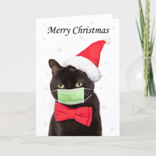 Frohe Weihnachten Süße Katze in Santa-Mütze und Ma