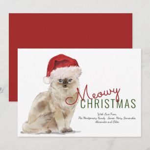 Frohe Weihnachten Süße Katze Santa Hut Moderne Sch