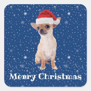 Frohe Weihnachten Süßer Chihuahua Weihnachtsmann 2 Quadratischer Aufkleber