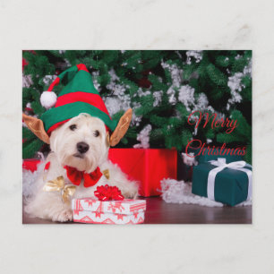 Frohe Weihnachten Süßer Hund im Elfenkostüm