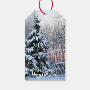 Frohe Weihnachten!  'Tis die Jahreszeit! ' Geschenkanhänger