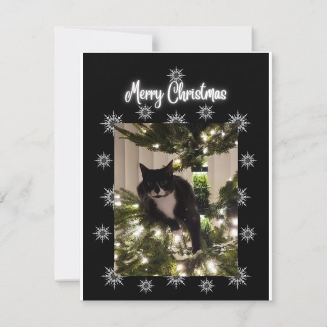 Frohe Weihnachten. Tuxie Katze auf Weihnachtsbaum. Mitteilungskarte (Vorderseite)