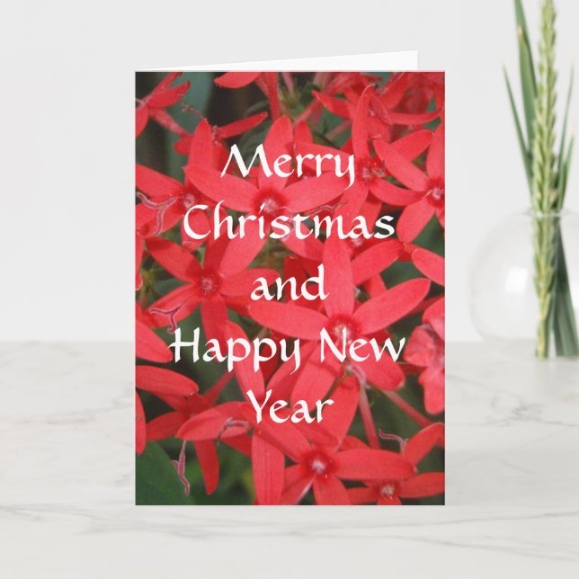 Frohe Weihnachten und glückliche Neujahrskarte (Vorderseite)