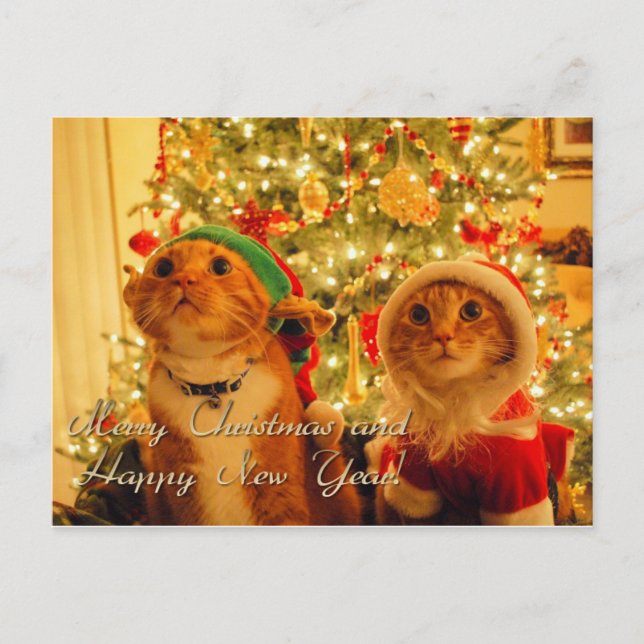 Frohe Weihnachten und glückliches neues Jahr (Vorderseite)