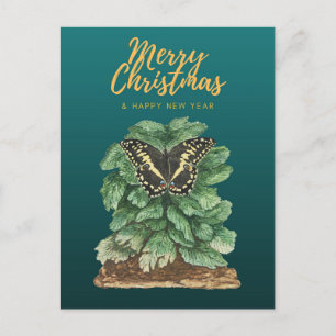 Frohe Weihnachten und glückliches Neues Jahr Postkarte