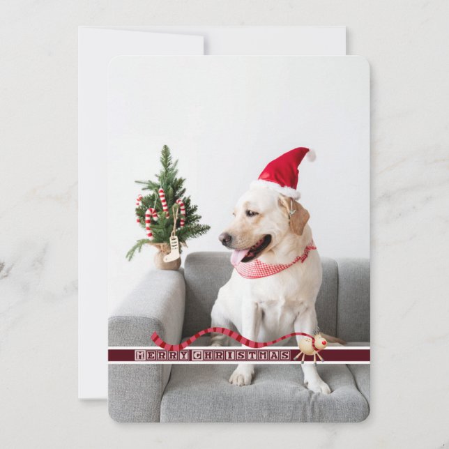 Frohe Weihnachten vom Hund anpassbar (Vorderseite)