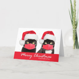 Frohe Weihnachten von beiden US Katzen in Gesichts