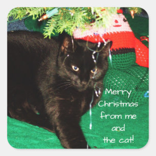FROHE WEIHNACHTEN VON DEN CAT-Aufklebern Quadratischer Aufkleber