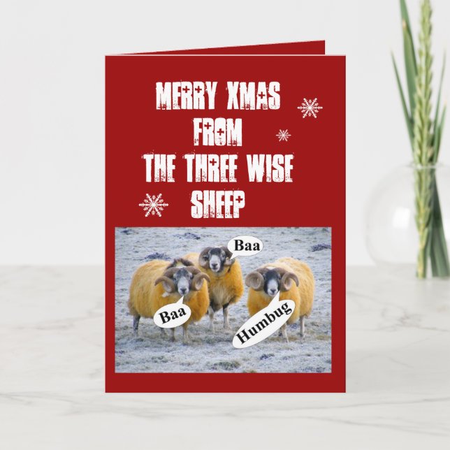 Frohe Weihnachten von den drei klugen Schafen (Vorderseite)