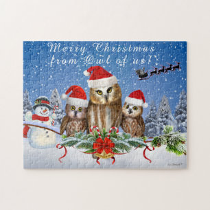FROHE WEIHNACHTEN VON DER EULE VON UNS!
