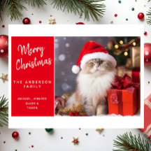 Frohe Weihnachten von der Katze mit dem Weihnachts