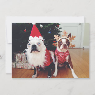 Frohe Weihnachten von Hogwarts & Clementine
