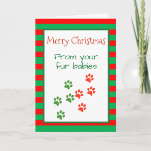 Frohe Weihnachten von Hunden Katzen mehrere Karte