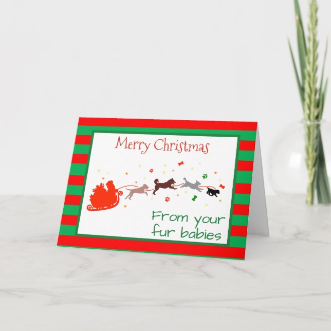 Frohe Weihnachten von Hunden Multiple Pets Card Karte (Vorderseite)