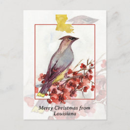 Frohe Weihnachten von Louisiana Cedar Waxwing Bird