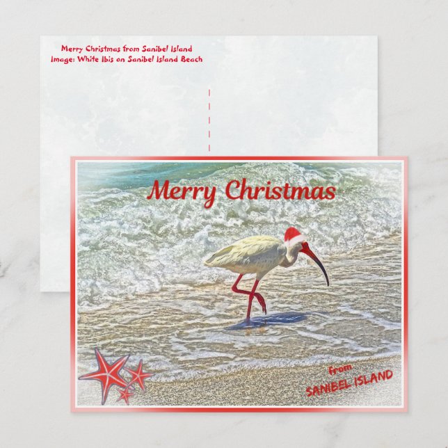Frohe Weihnachten von Sanibel Island FL White Ibis (Vorne/Hinten)