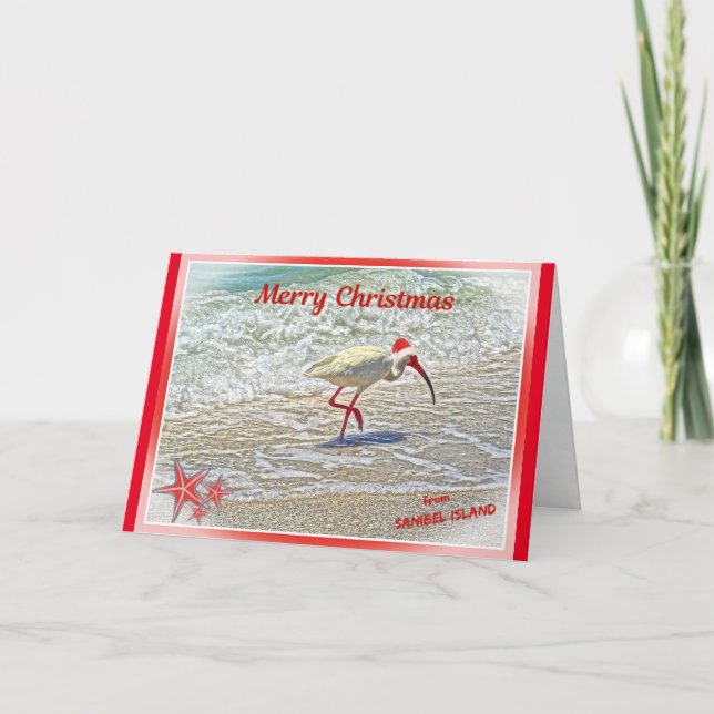Frohe Weihnachten von Sanibel Island FL White Ibis (Vorderseite)